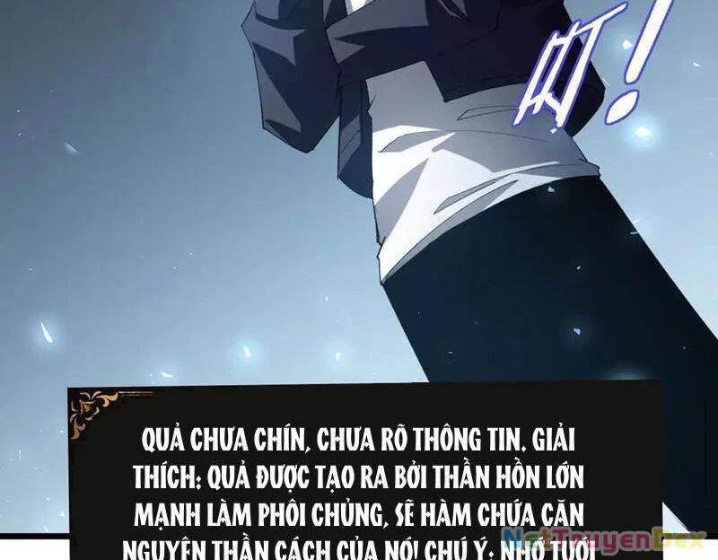 Ta Là Chúa Tể Trùng Độc Chapter 40 - Trang 2