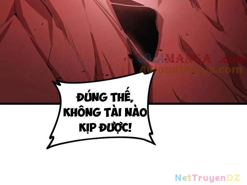 Ta Là Chúa Tể Trùng Độc Chapter 39 - Trang 2