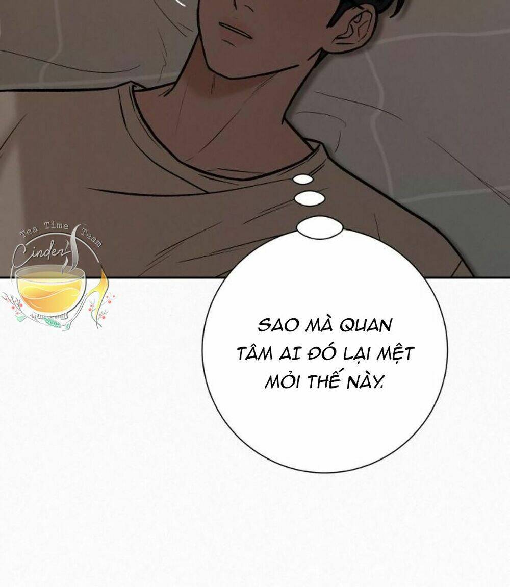 Kế Hoạch Tình Yêu Trong Sáng Chapter 22 - Trang 2