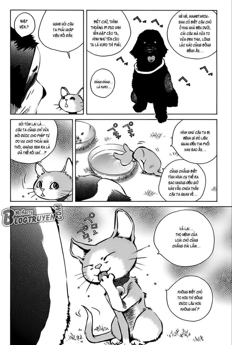 Pastel Chapter 166 - Trang 2