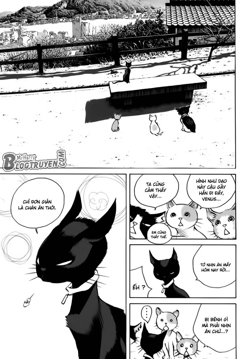 Pastel Chapter 162 - Trang 2