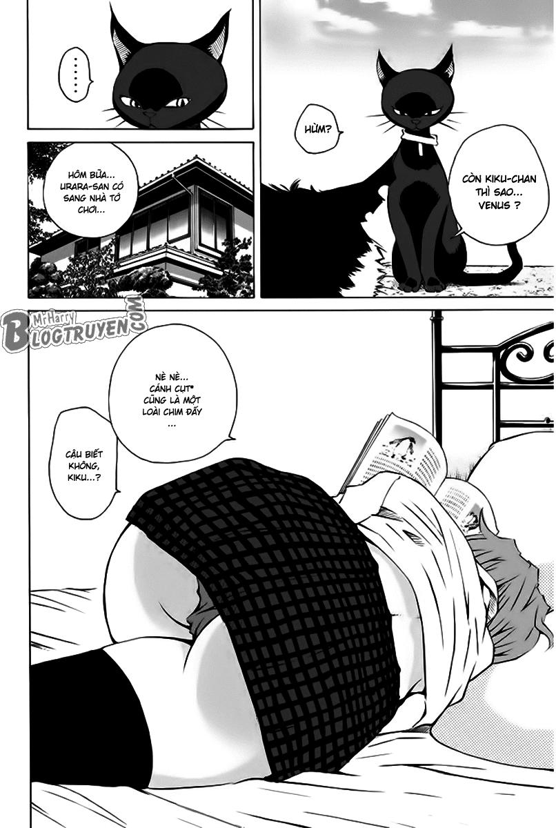 Pastel Chapter 156 - Trang 2