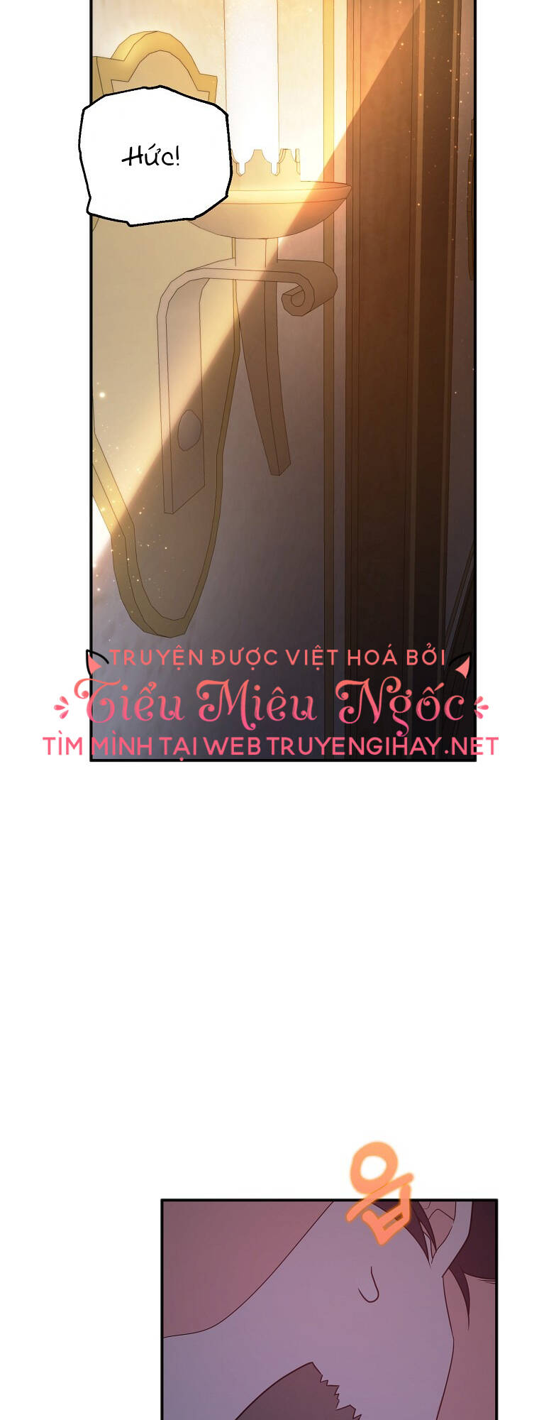 Vì Anh Trai Tôi Sẽ Quyến Rũ Nam Chính Chapter 17 - Trang 2