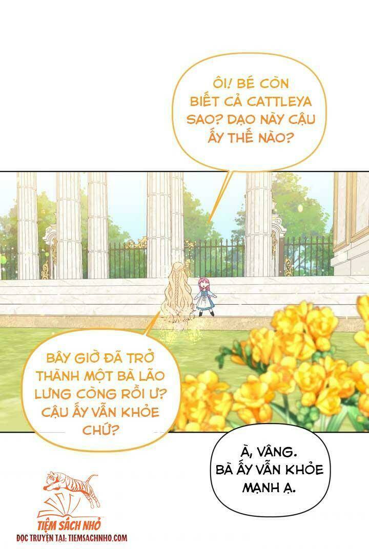 Sự Điều Trị Đặc Biệt Của Tinh Linh Chapter 32 - Trang 2