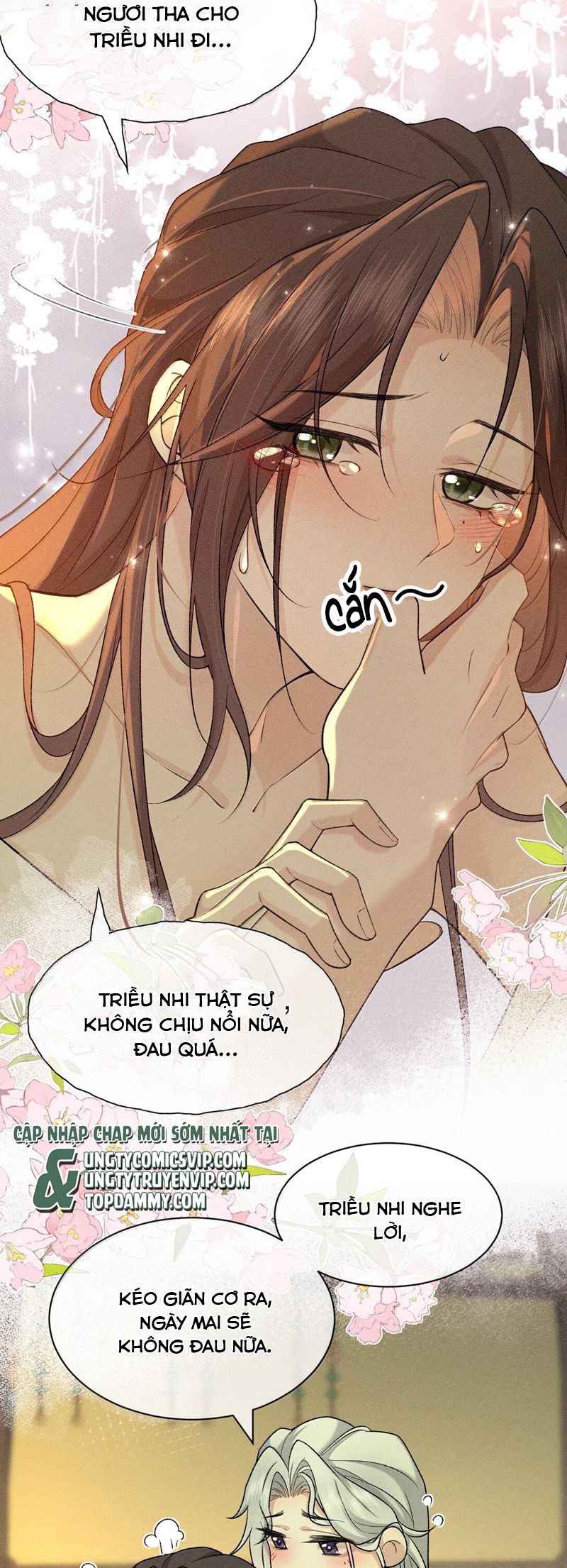 Hải Vương Sau Khi Hoàn Lương Sa Vào Tu La Tràng Chapter 15 - Trang 2