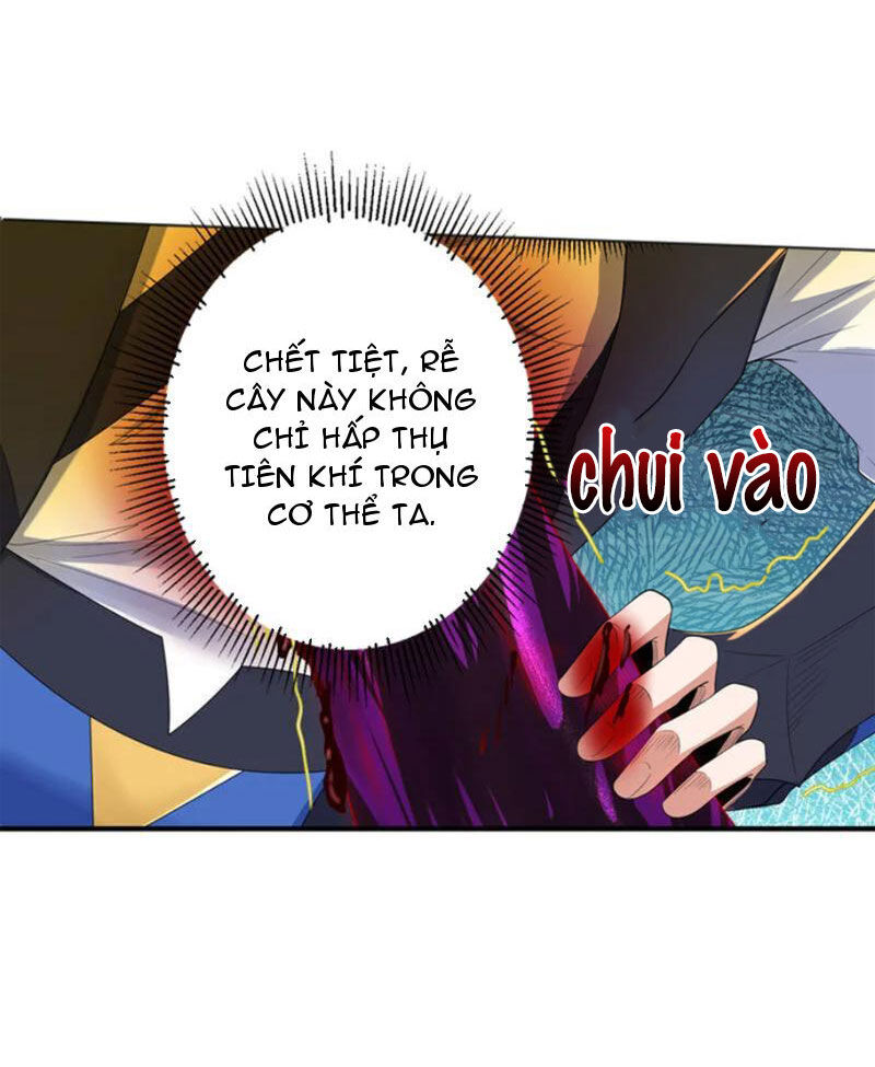 Đệ Nhất Ở Rể Chapter 313 - Trang 2