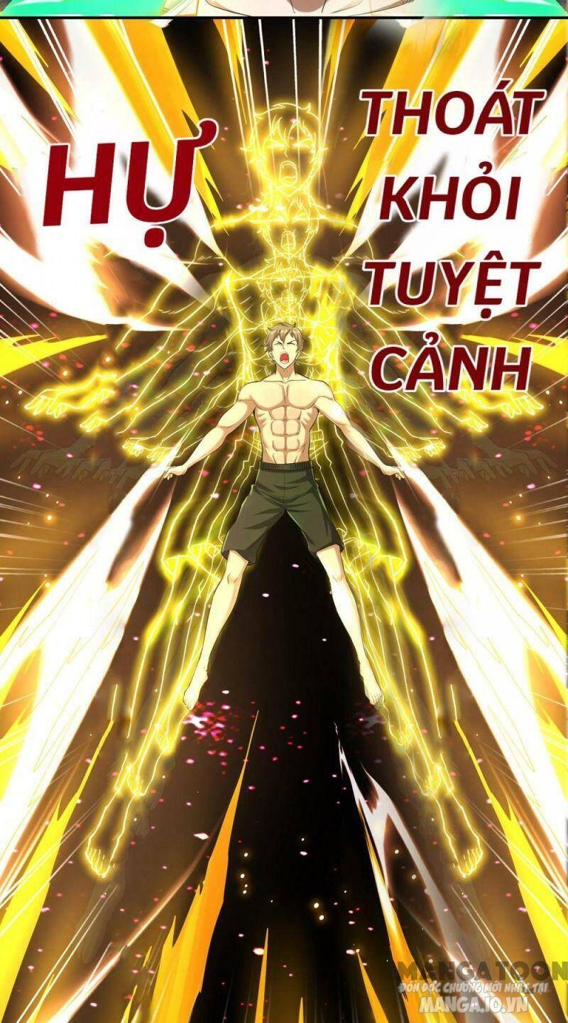 Đệ Nhất Ở Rể Chapter 124 - Trang 2