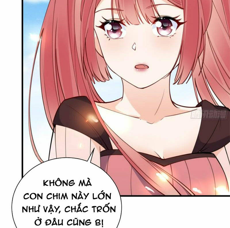 Tu Tiên Phải Dựa Vào Sugar Mommy Chapter 184 - Trang 2