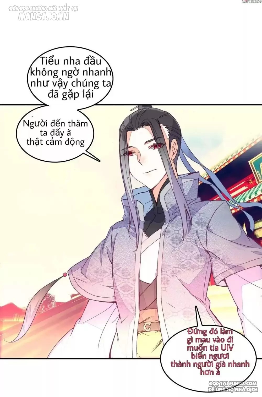 Lão Đại Xuyên Không Thành Tiên Nữ Chapter 30 - Trang 2