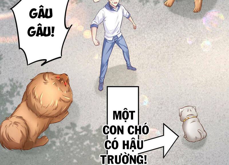 Siêu Năng Bất Lương Học Bá Chapter 7 - Trang 2