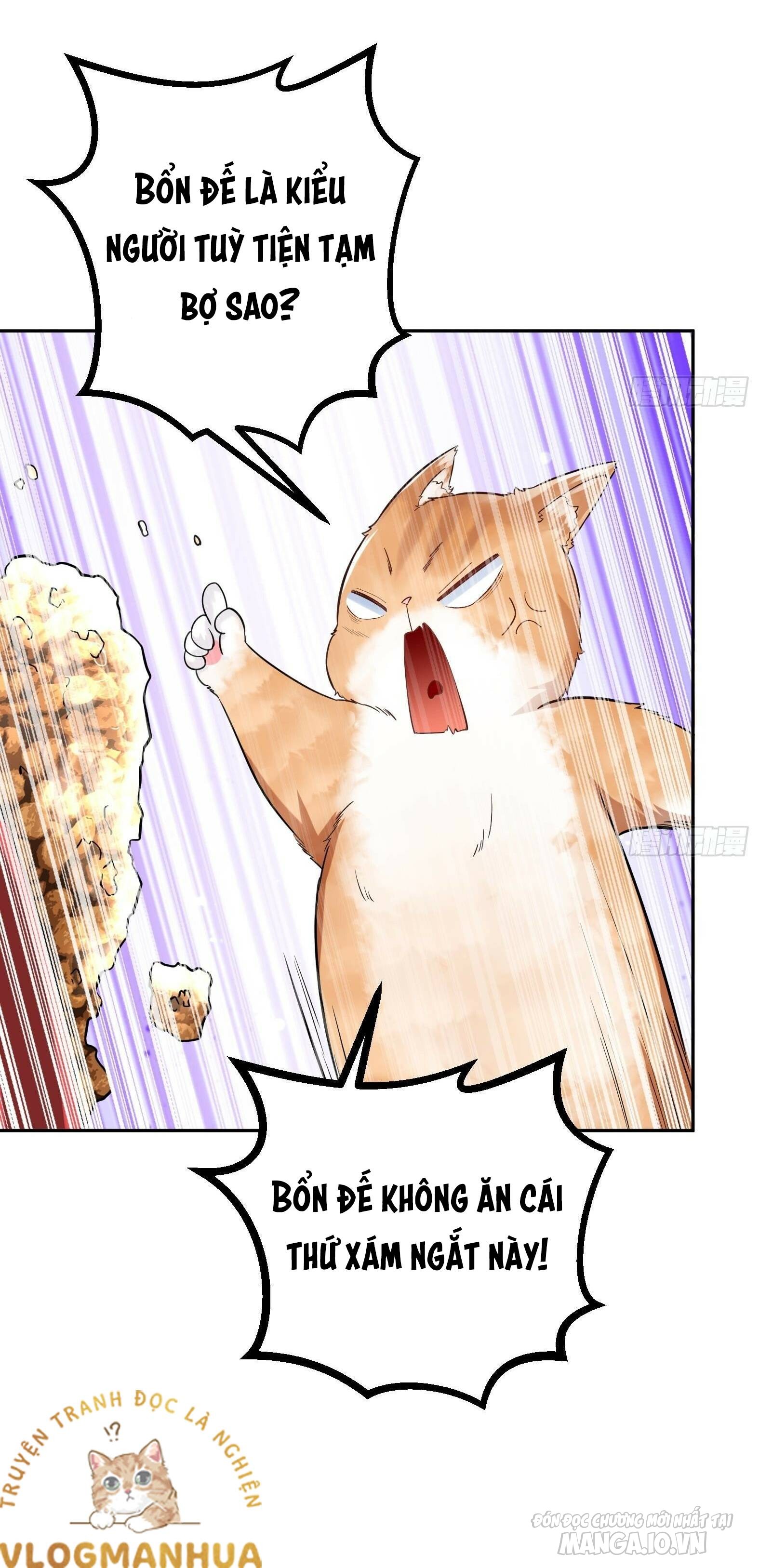 Thần Cấp Khế Ước : Bắt Đầu Với Một Con Mèo Chapter 4 - Trang 2