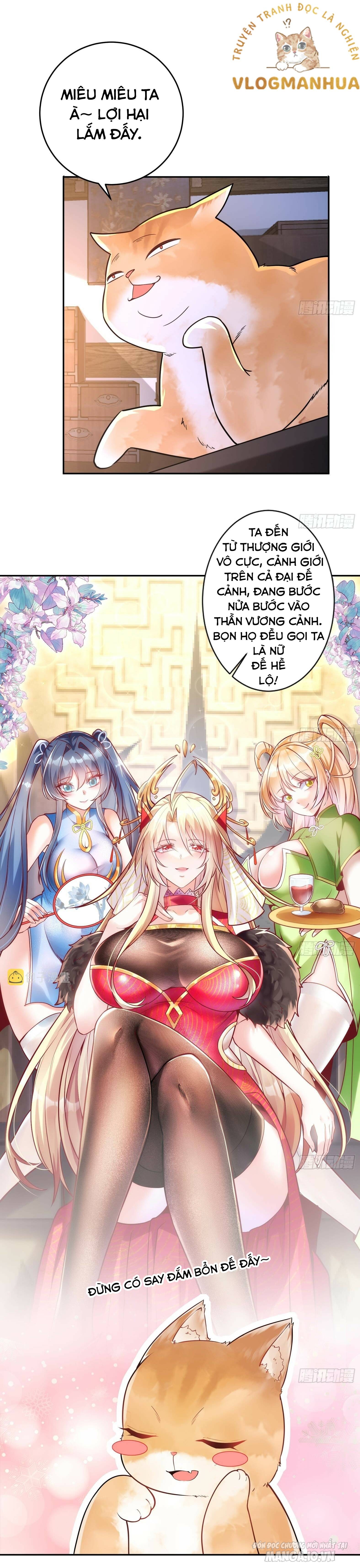 Thần Cấp Khế Ước : Bắt Đầu Với Một Con Mèo Chapter 4 - Trang 2