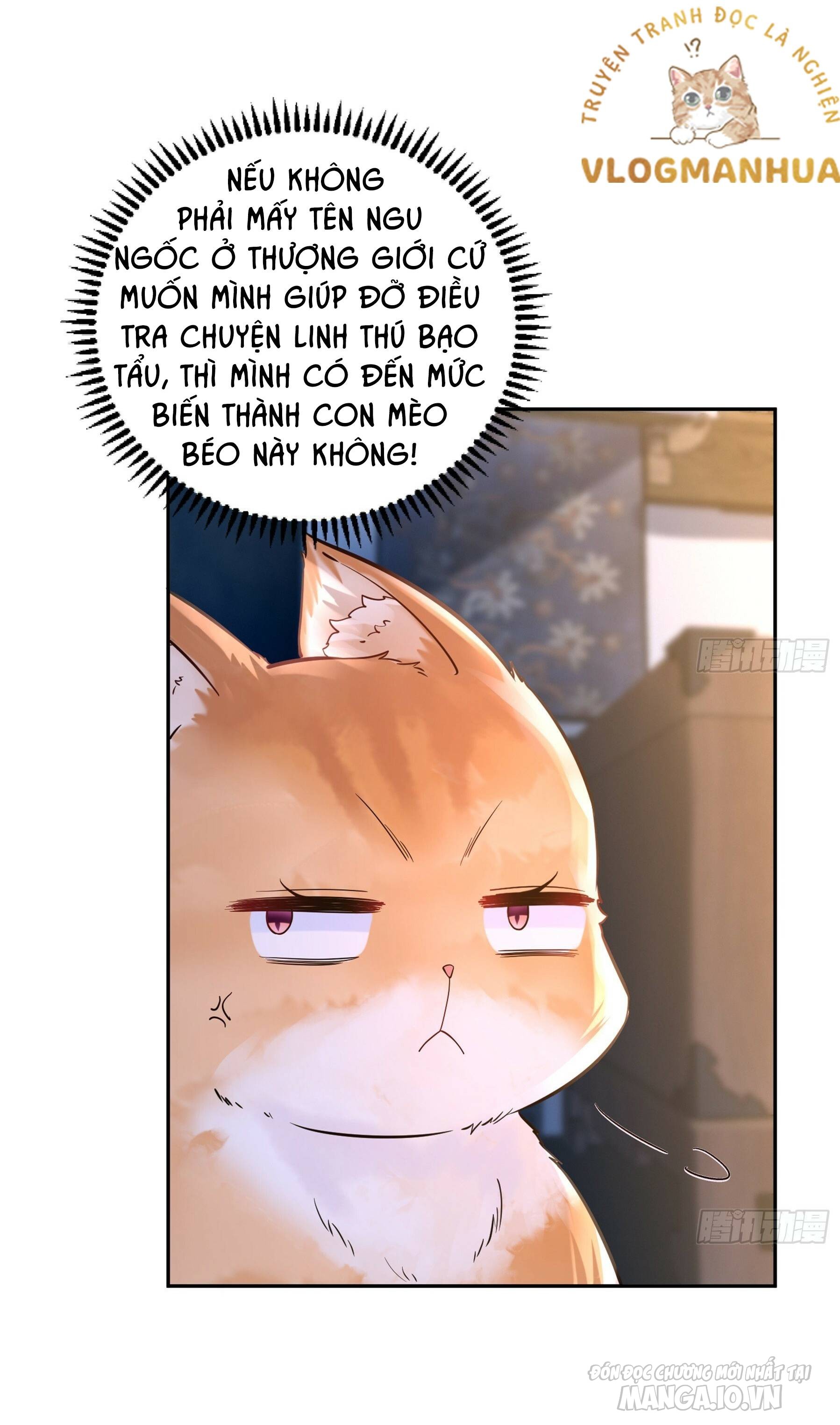 Thần Cấp Khế Ước : Bắt Đầu Với Một Con Mèo Chapter 4 - Trang 2