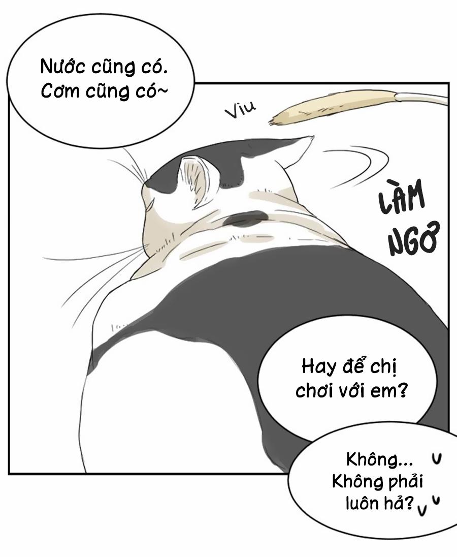 Bạn Trai Tui Chapter 15 - Trang 2