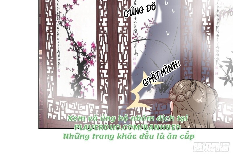 Công Lược Trưởng Thành Của Vương Phi Chapter 5 - Trang 2