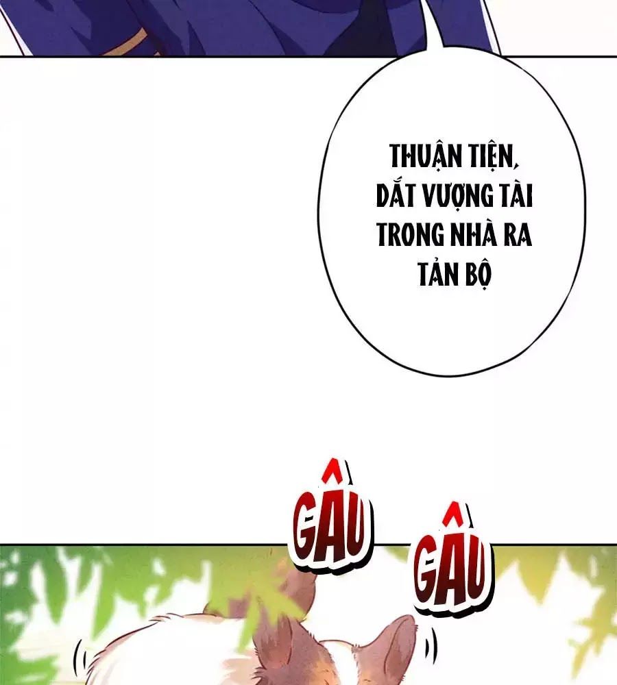 Thiếu Soái, Vợ Anh Muốn Lật Trời! Chapter 38 - Trang 2