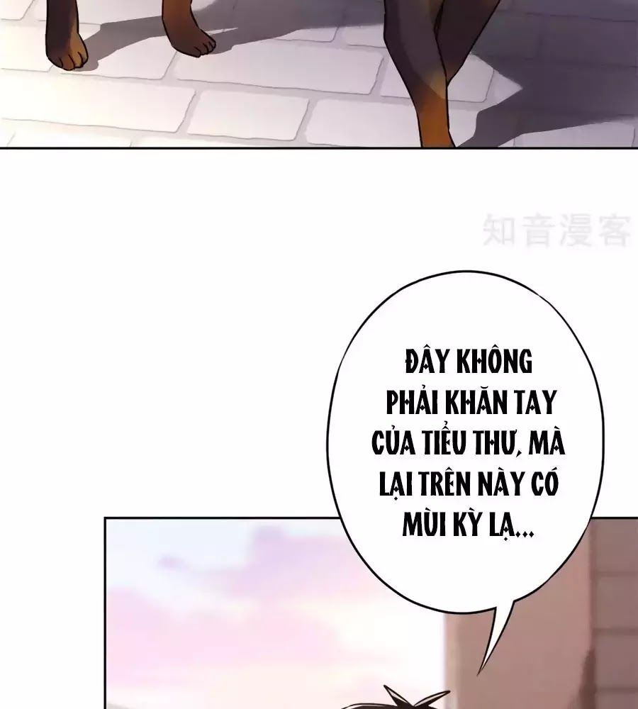 Thiếu Soái, Vợ Anh Muốn Lật Trời! Chapter 32 - Trang 2