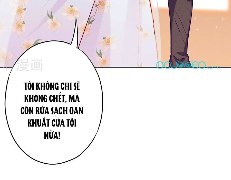 Thiếu Soái, Vợ Anh Muốn Lật Trời! Chapter 8 - Trang 2