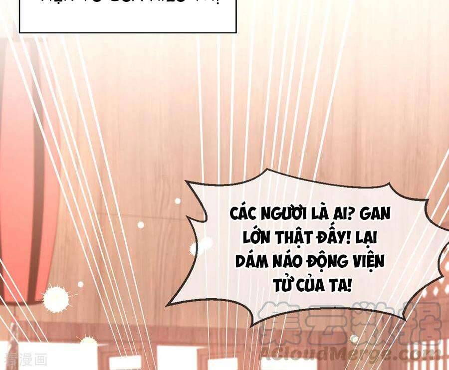 Thị Huyết Y Phi Chapter 118 - Trang 2