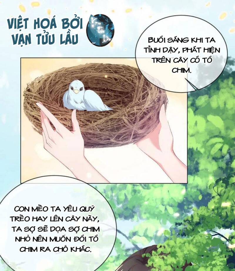 Thị Huyết Y Phi Chapter 82 - Trang 2