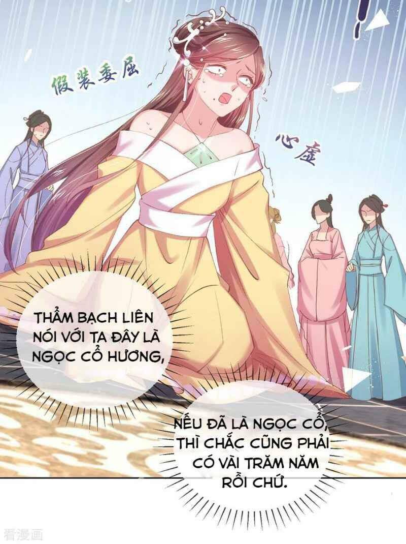 Thị Huyết Y Phi Chapter 60 - Trang 2