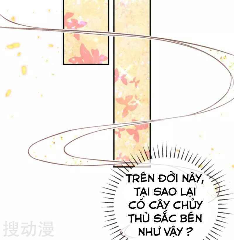 Thị Huyết Y Phi Chapter 38.5 - Trang 2