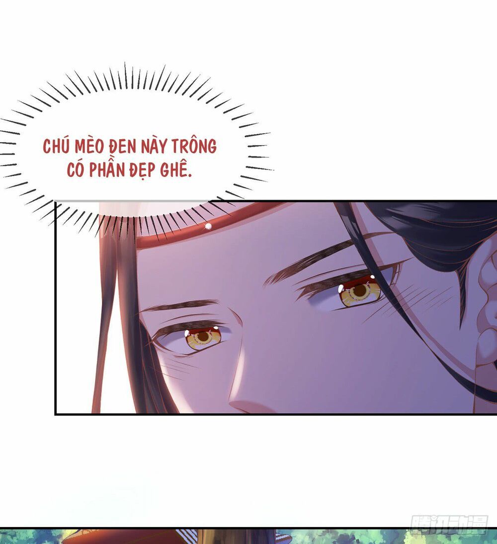 Thị Huyết Y Phi Chapter 8 - Trang 2