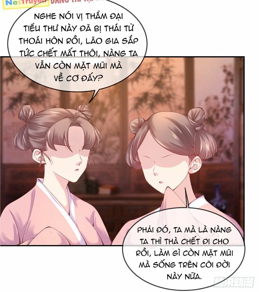 Thị Huyết Y Phi Chapter 6 - Trang 2