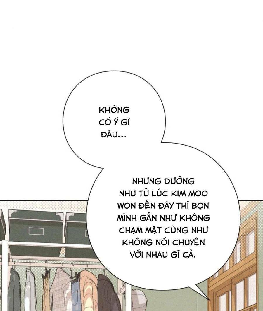 Bí Mật Thanh Xuân Chapter 41 - Trang 2