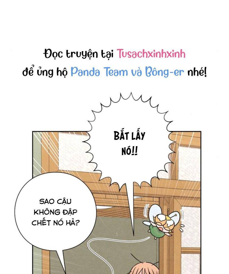 Bí Mật Thanh Xuân Chapter 40 - Trang 2