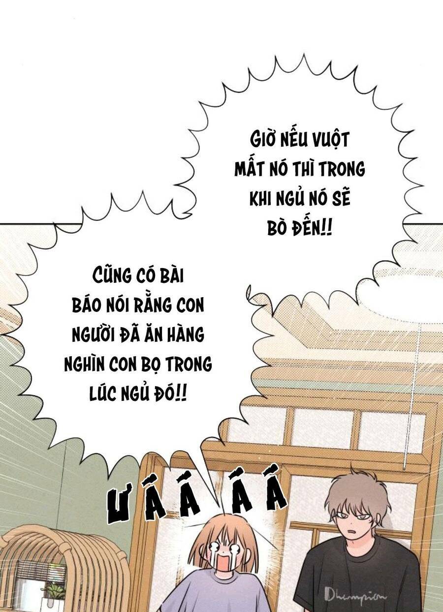 Bí Mật Thanh Xuân Chapter 40 - Trang 2