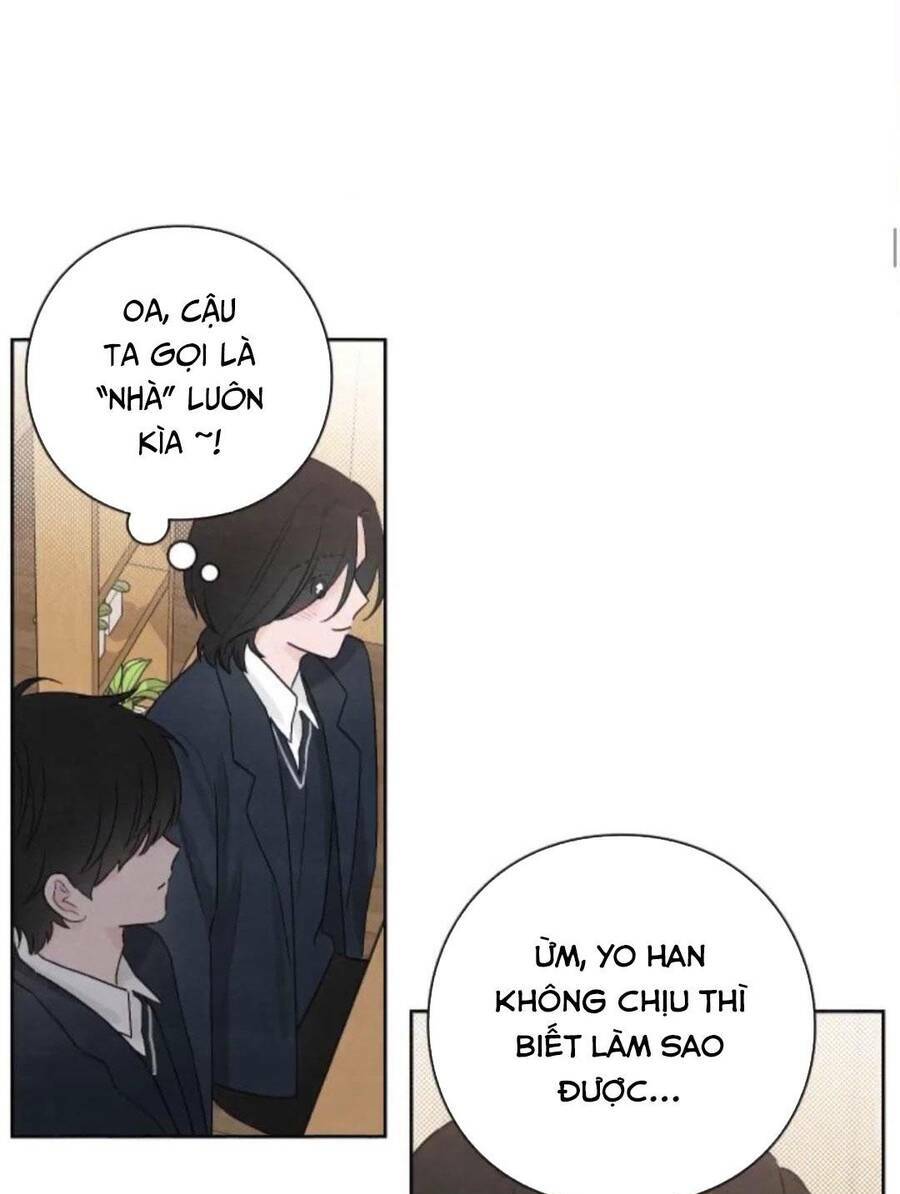 Bí Mật Thanh Xuân Chapter 23 - Trang 2