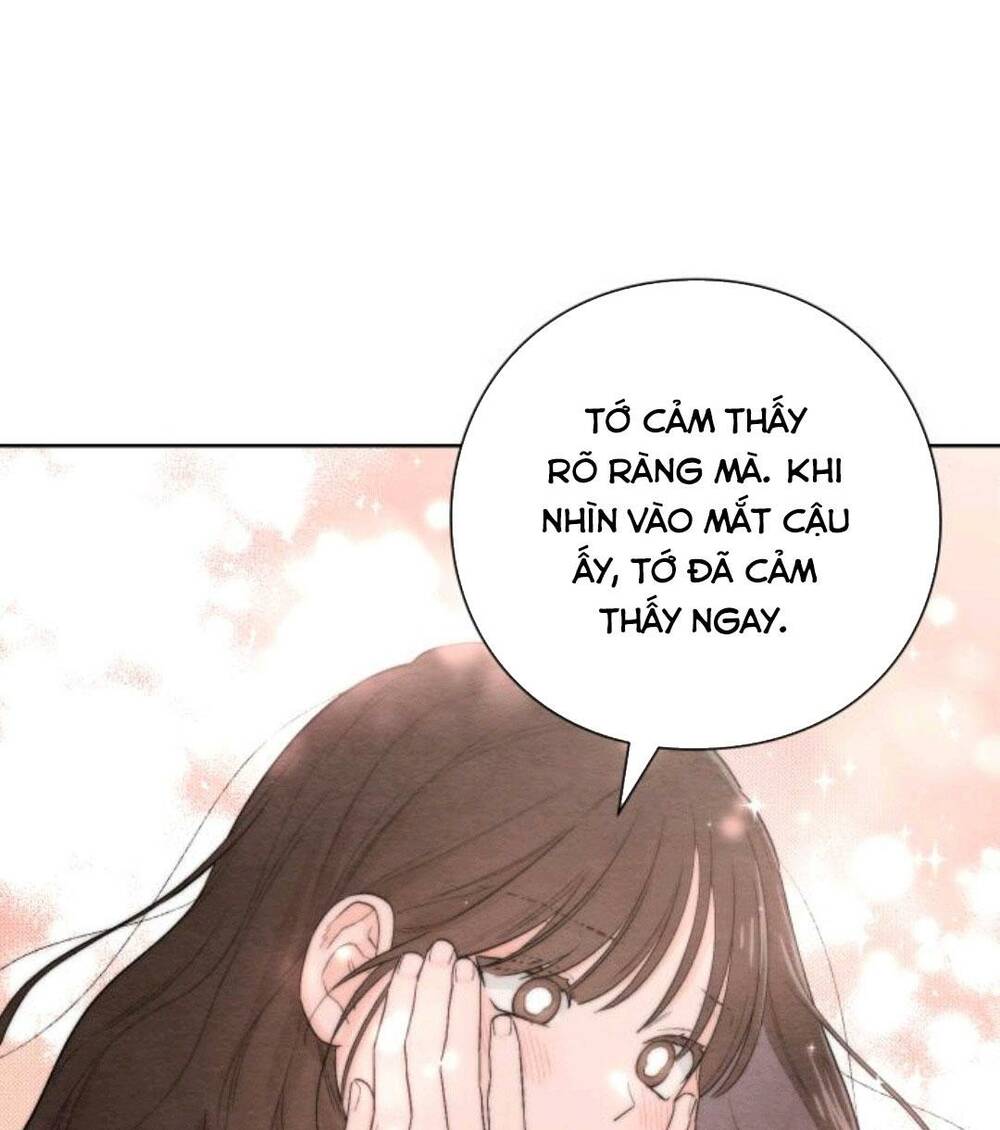 Bí Mật Thanh Xuân Chapter 21 - Trang 2