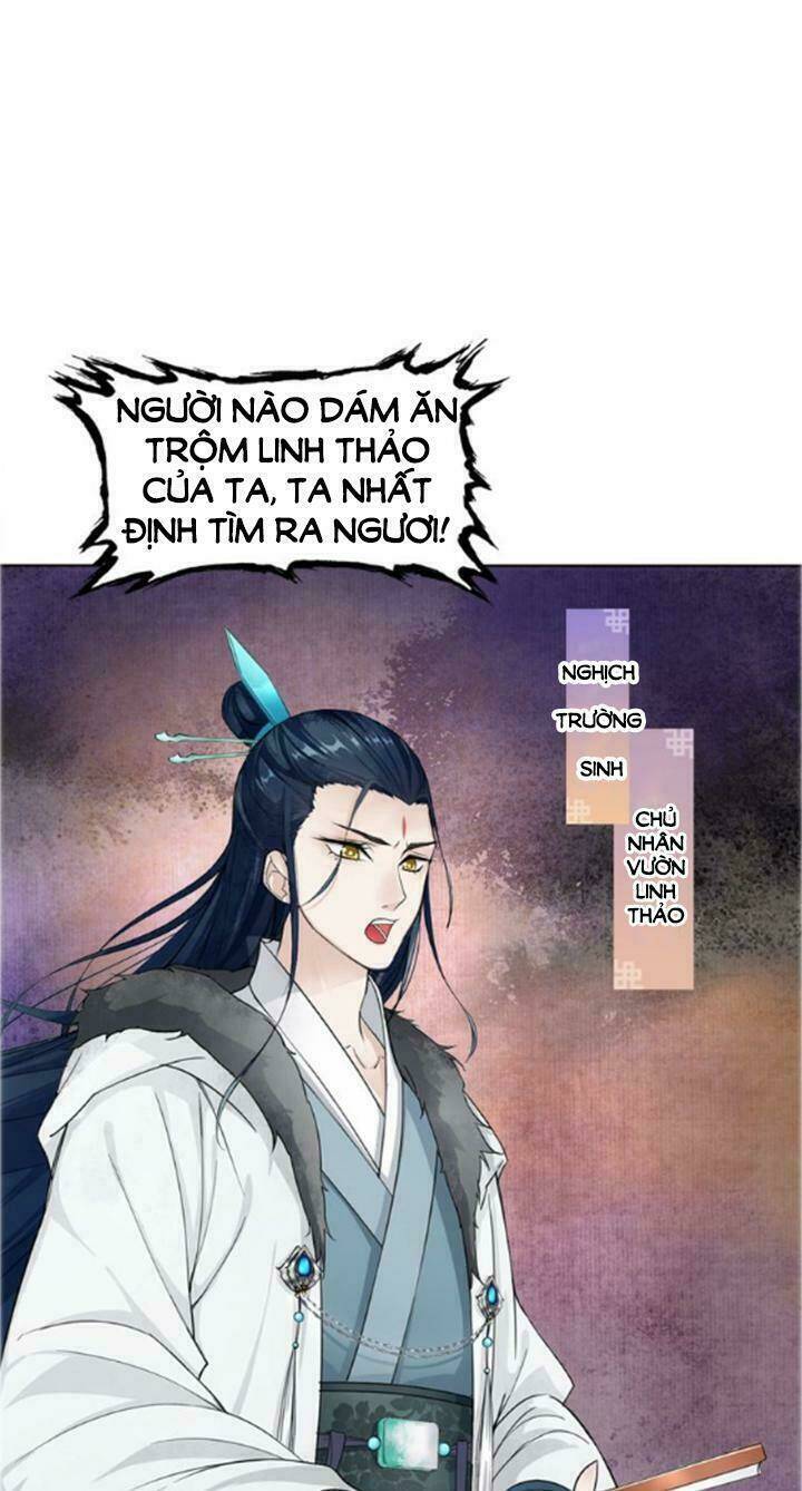 Ma Quân Đại Nhân, Phu Nhân Lại Trốn Rồi! Chapter 17 - Trang 2