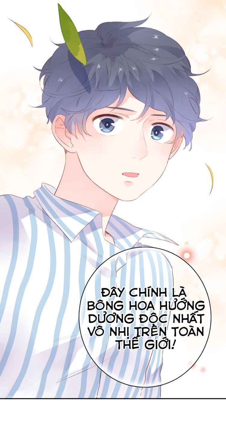 Dolo Mệnh Vận Giao Nang Chapter 40 - Trang 2