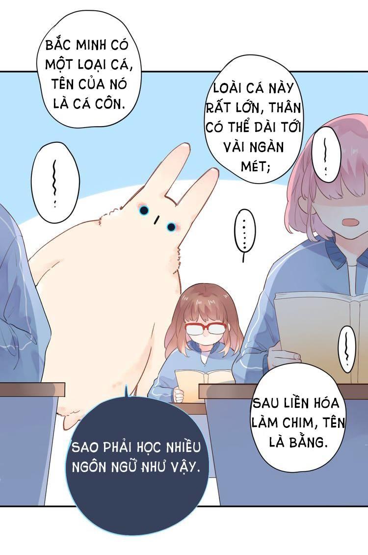 Dolo Mệnh Vận Giao Nang Chapter 31 - Trang 2