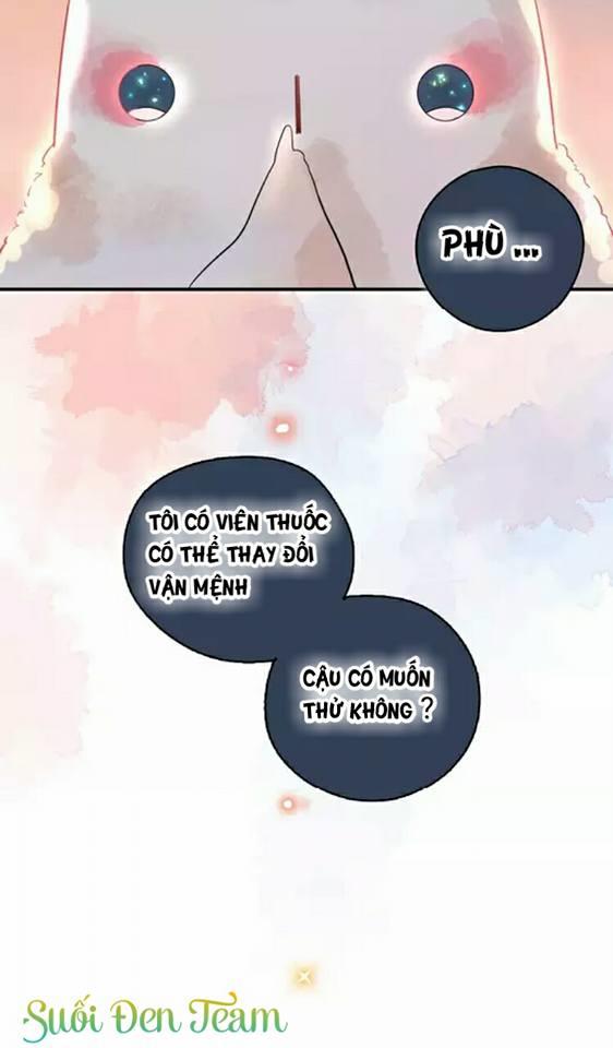 Dolo Mệnh Vận Giao Nang Chapter 1.6 - Trang 2