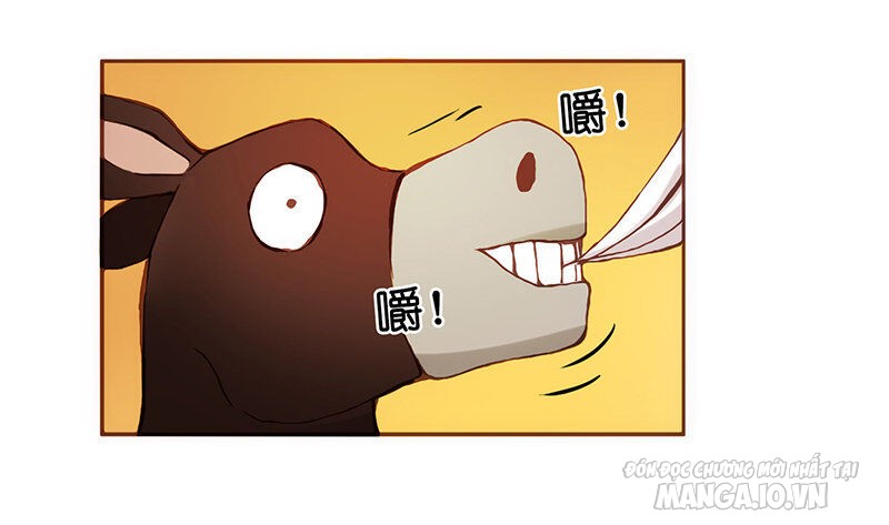 Bởi Vì Tôi Là Ông Chú Điều Hành Một Cửa Hàng Vũ Khí Chapter 4 - Trang 2