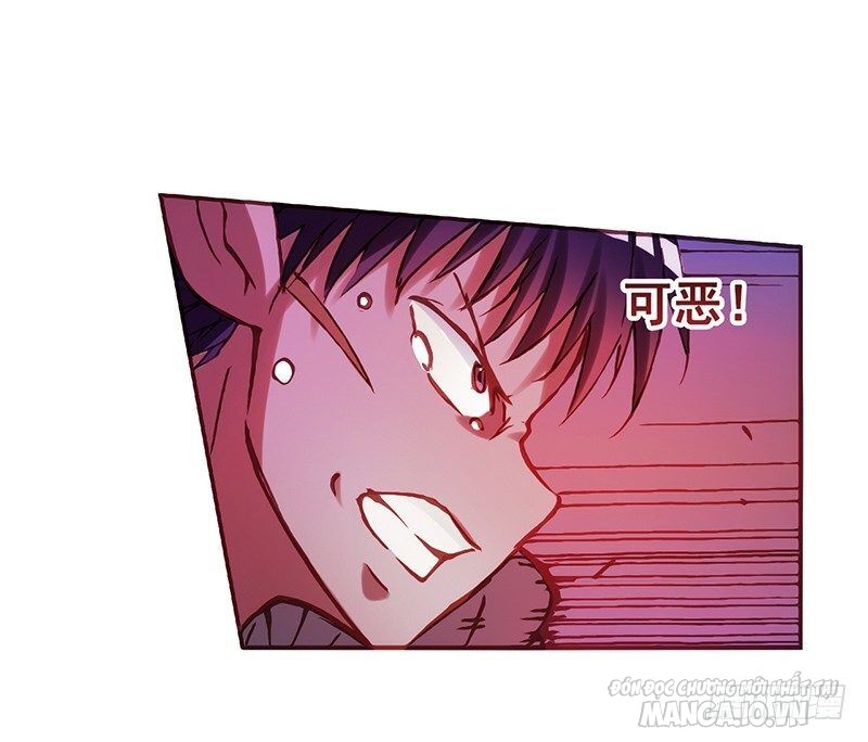 Bởi Vì Tôi Là Ông Chú Điều Hành Một Cửa Hàng Vũ Khí Chapter 3 - Trang 2