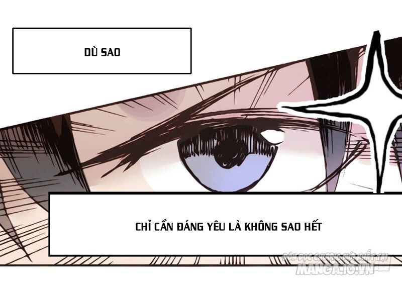 Bởi Vì Tôi Là Ông Chú Điều Hành Một Cửa Hàng Vũ Khí Chapter 2 - Trang 2