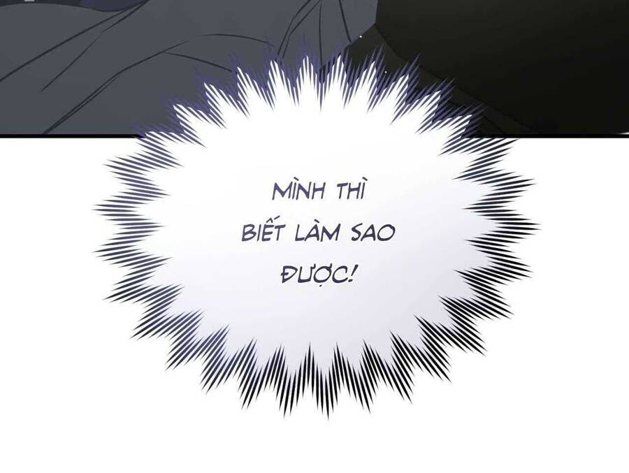 Sau Ánh Hào Quang Chapter 22 - Trang 2