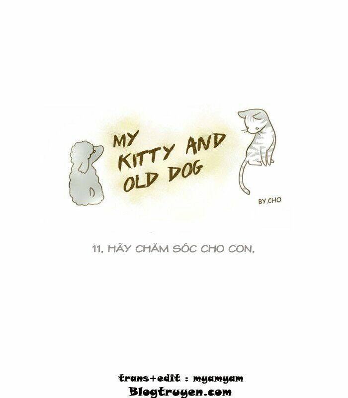 My Kitty And Old Dog Chapter 11 - Trang 2