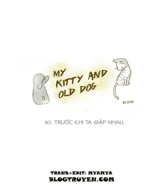 My Kitty And Old Dog Chapter 10 - Trang 2