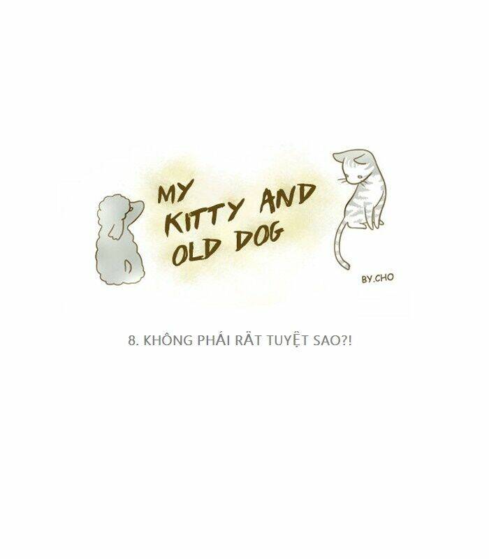 My Kitty And Old Dog Chapter 8 - Trang 2