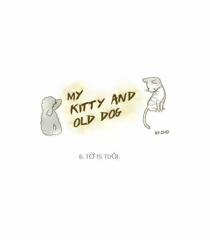 My Kitty And Old Dog Chapter 6 - Trang 2