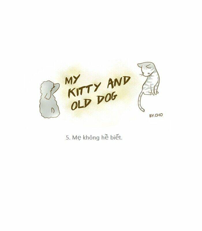 My Kitty And Old Dog Chapter 5 - Trang 2