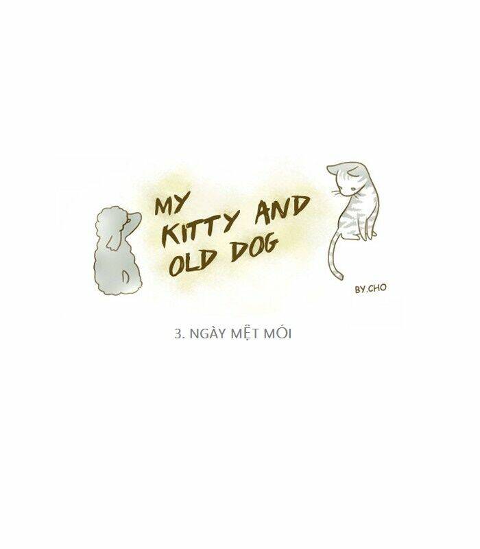 My Kitty And Old Dog Chapter 3 - Trang 2