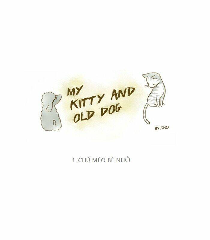 My Kitty And Old Dog Chapter 1 - Trang 2