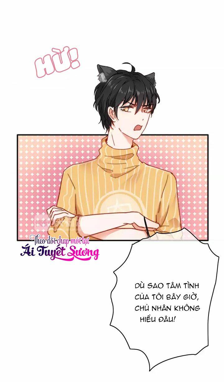 Thập Quang Mật Ngữ Chapter 11.5 - Trang 2