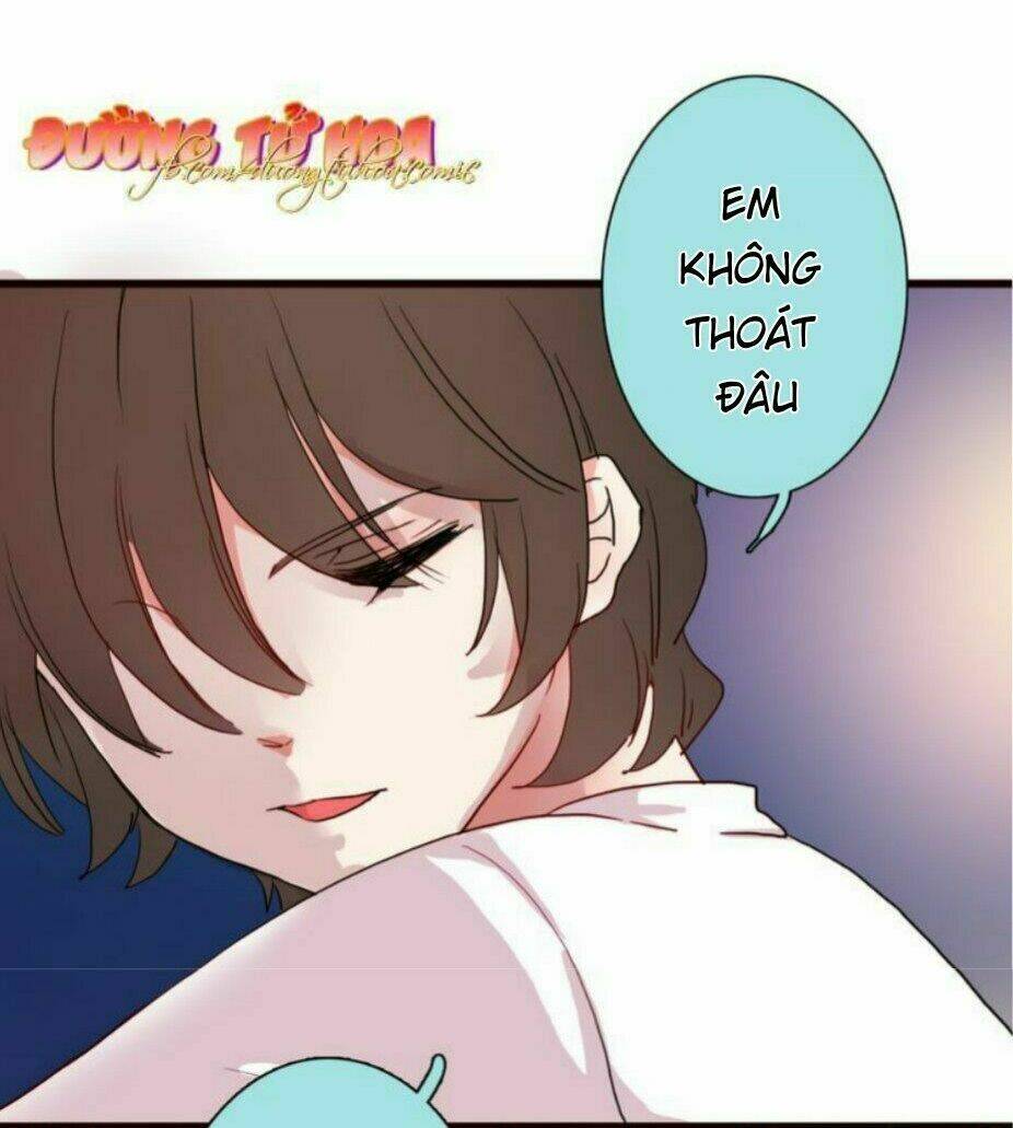 GấU Nhỏ Dư Và Thỏ Thỏ HứA Chapter 17 - Trang 2